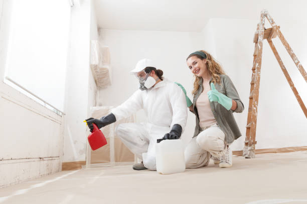 Best Industrial Mold Remediation  in West Dennis, MA